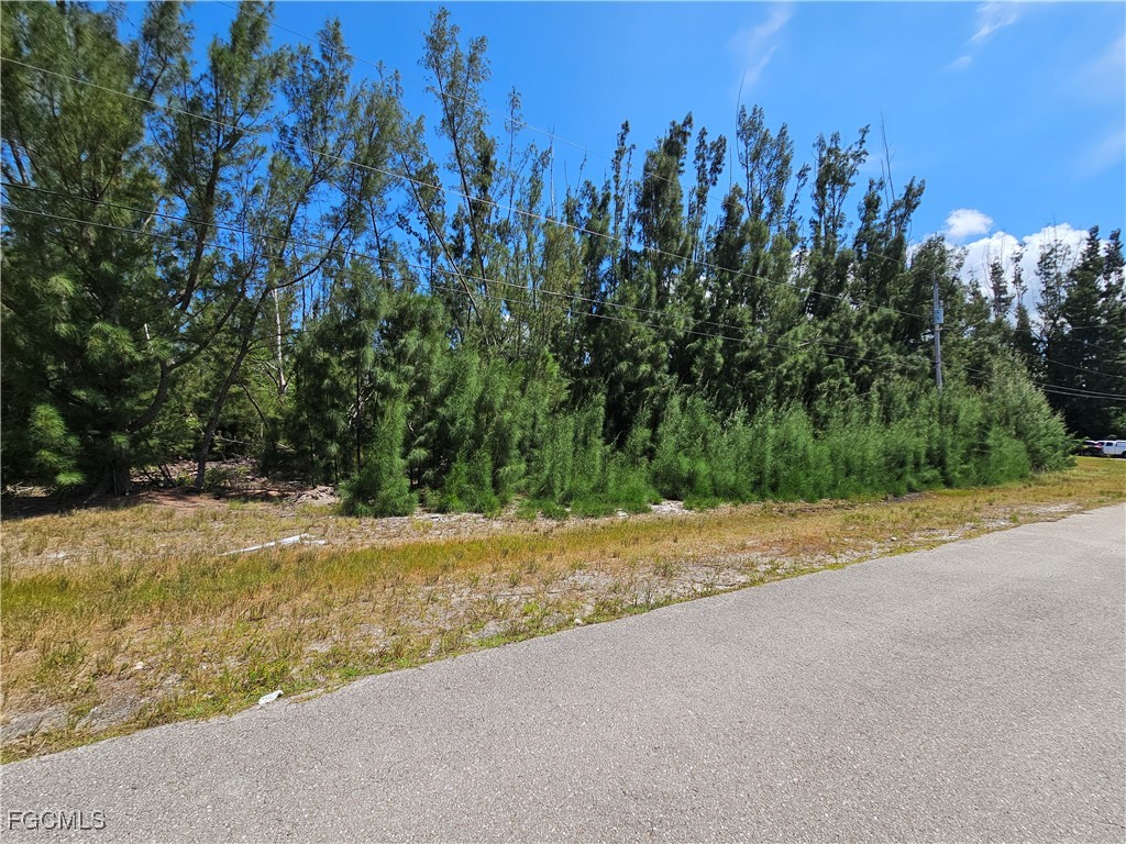 4235 NW 24th Terrace Cape Coral FL 33993 2025003498 image4