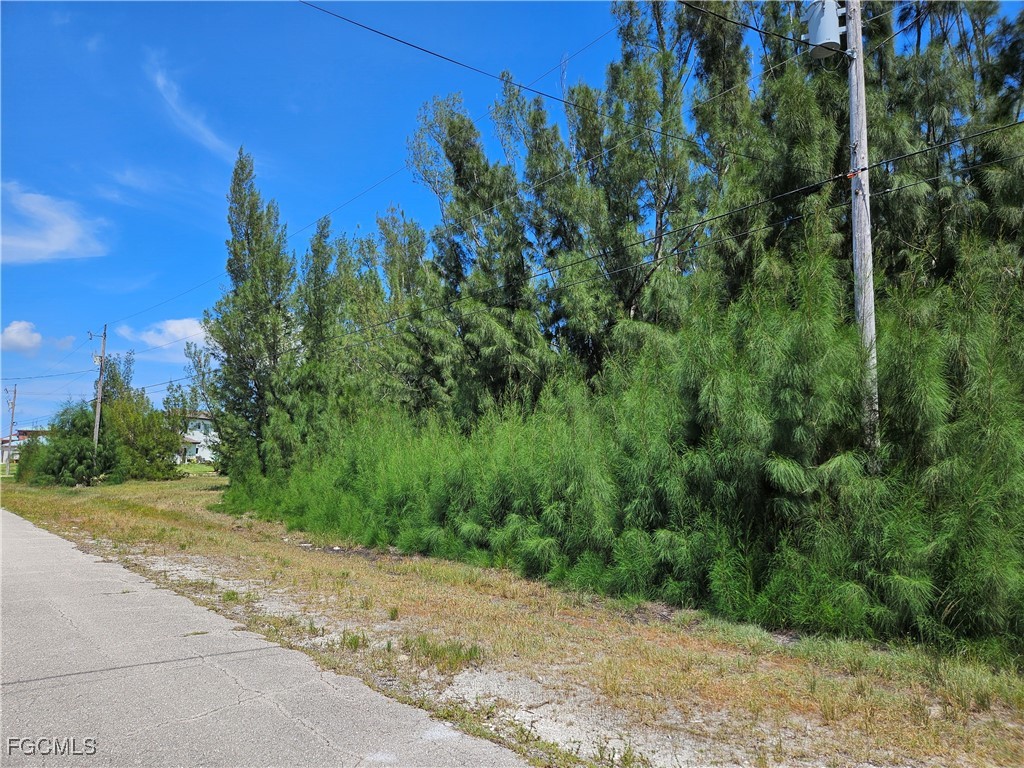 4235 NW 24th Terrace Cape Coral FL 33993 2025003498 image6