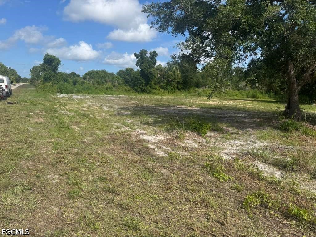 4239 E 29th Street Alva FL 33920 2026024590 image1