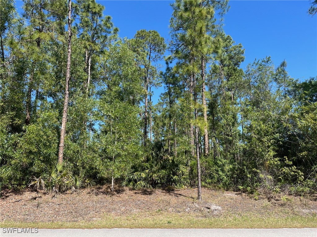 4243 2nd Avenue NE Naples FL 34120 225027269 image1