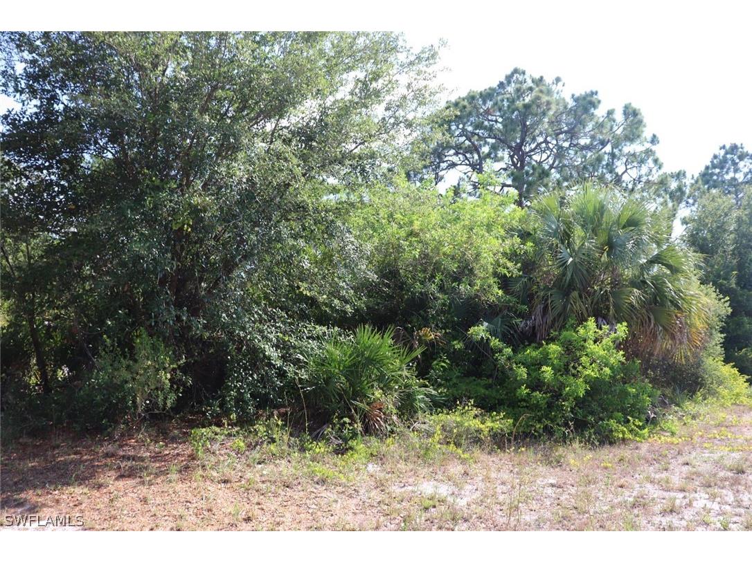 4244 E 24th Street Alva FL 33920 221040222 image5