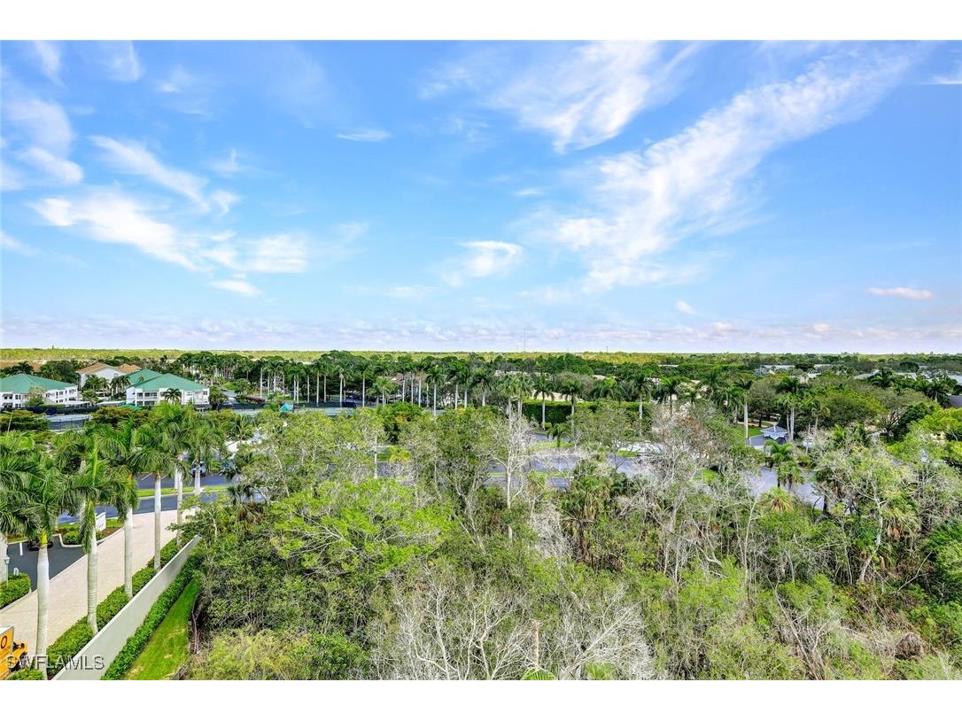 425 Cove Tower Drive #701 Naples FL 34110 225076176 image27
