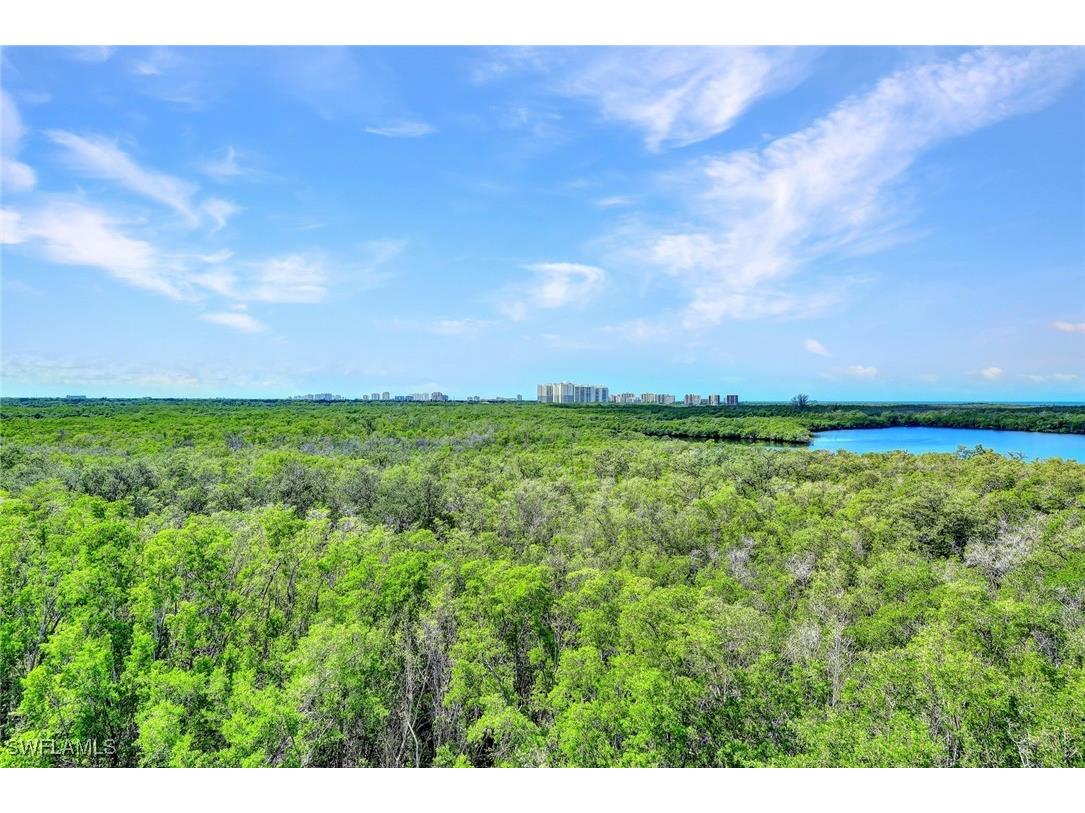 425 Cove Tower Drive #701 Naples FL 34110 225076176 image36