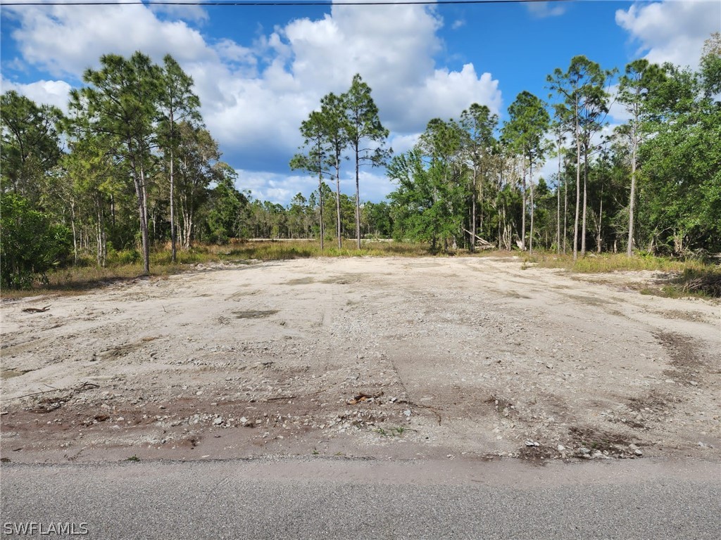 425 La Perouse Street W Lehigh Acres FL 33974 224046024 image1