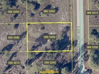 426 Mallory Avenue S Lehigh Acres FL 33974 224023502 image1