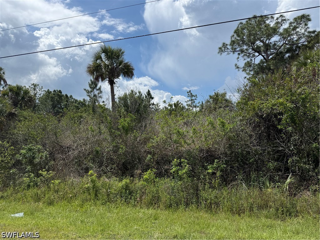 4260 22nd Avenue SE Naples FL 34117 226016916 image2