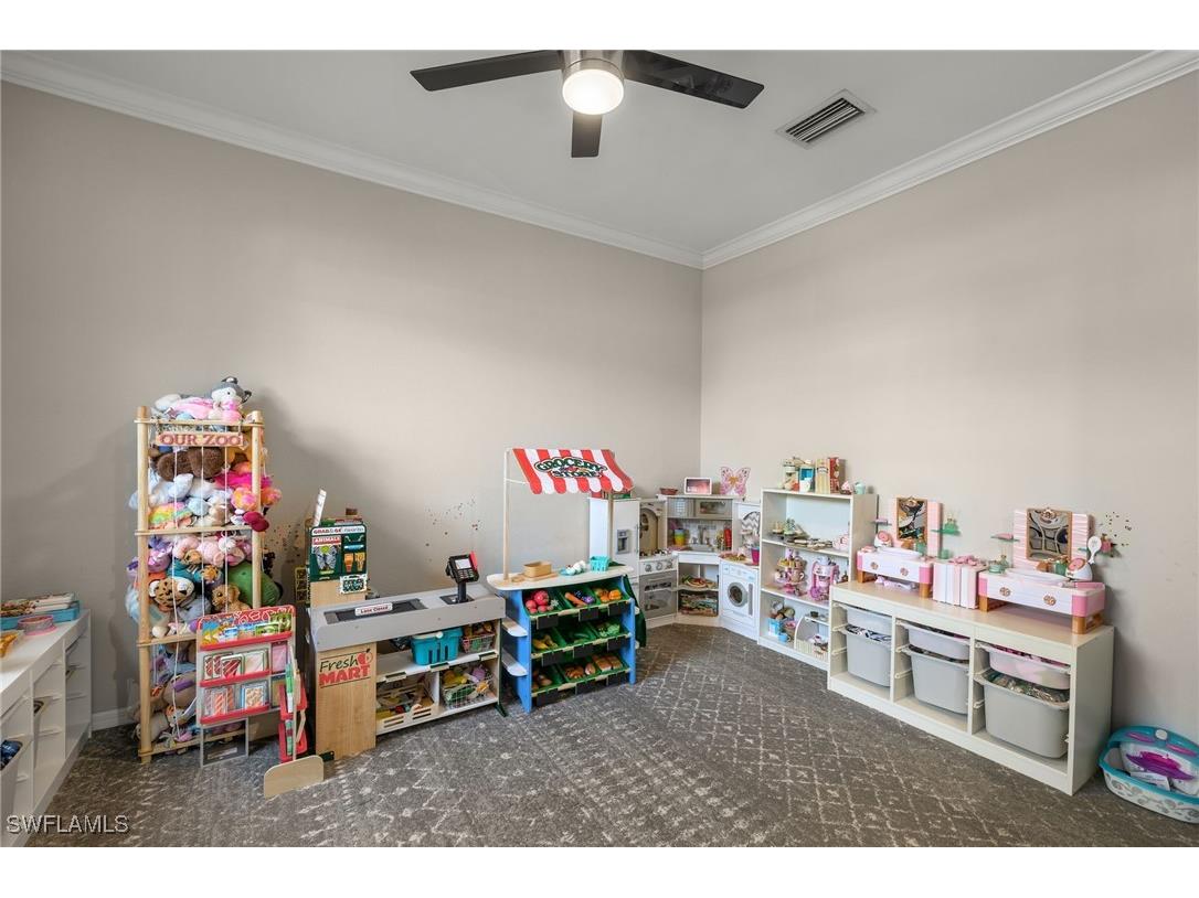 4260 Raffia Palm Circle Naples FL 34119 225085049 image20