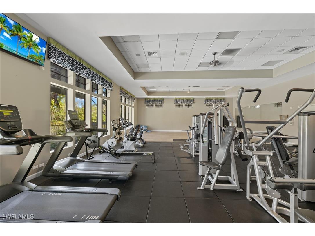 4260 Raffia Palm Circle Naples FL 34119 225085049 image28