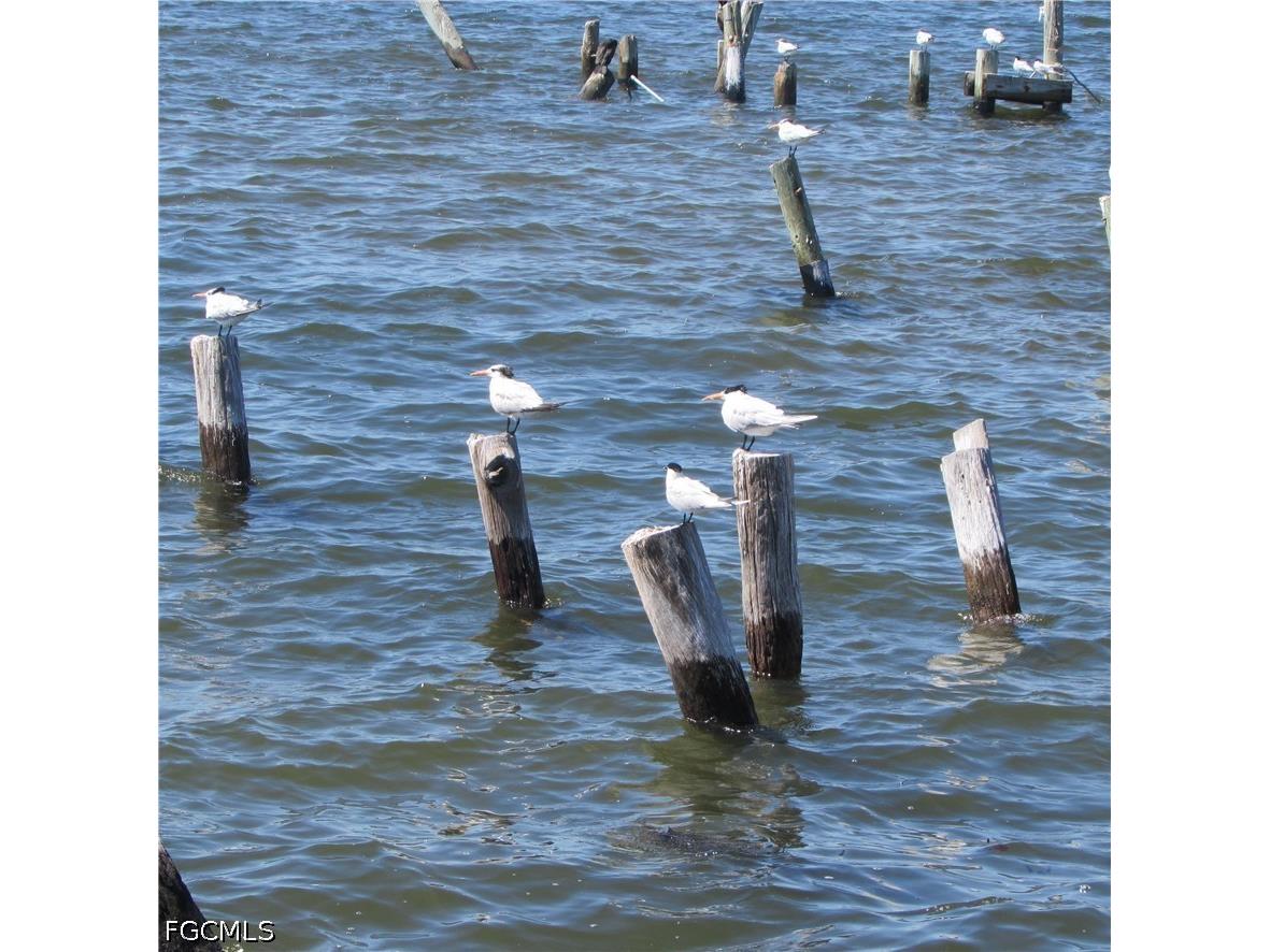 4262 Pine Island Road NW Matlacha FL 33993 2026017869 image7