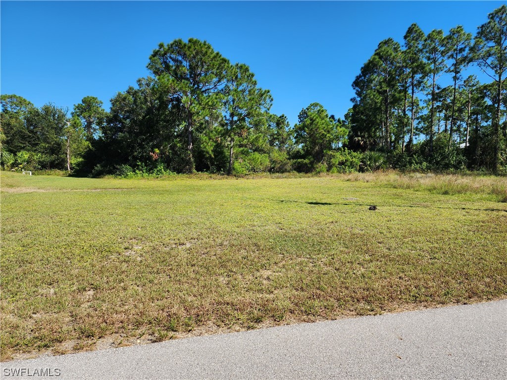 427 Gray Avenue S Lehigh Acres FL 33974 223076598 image1