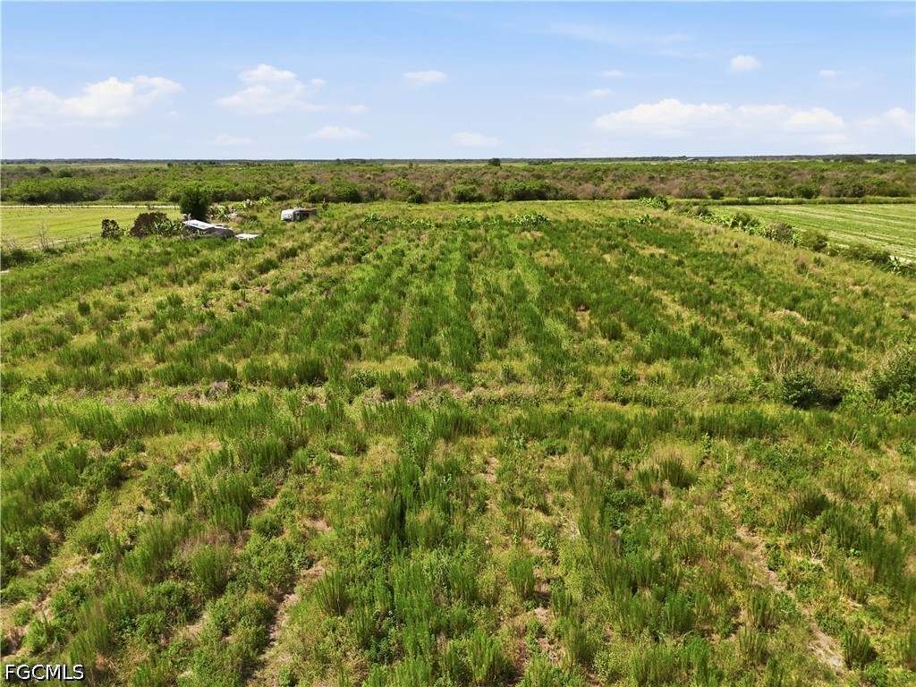 4276 2nd Road Labelle FL 33935 2026026151 image12