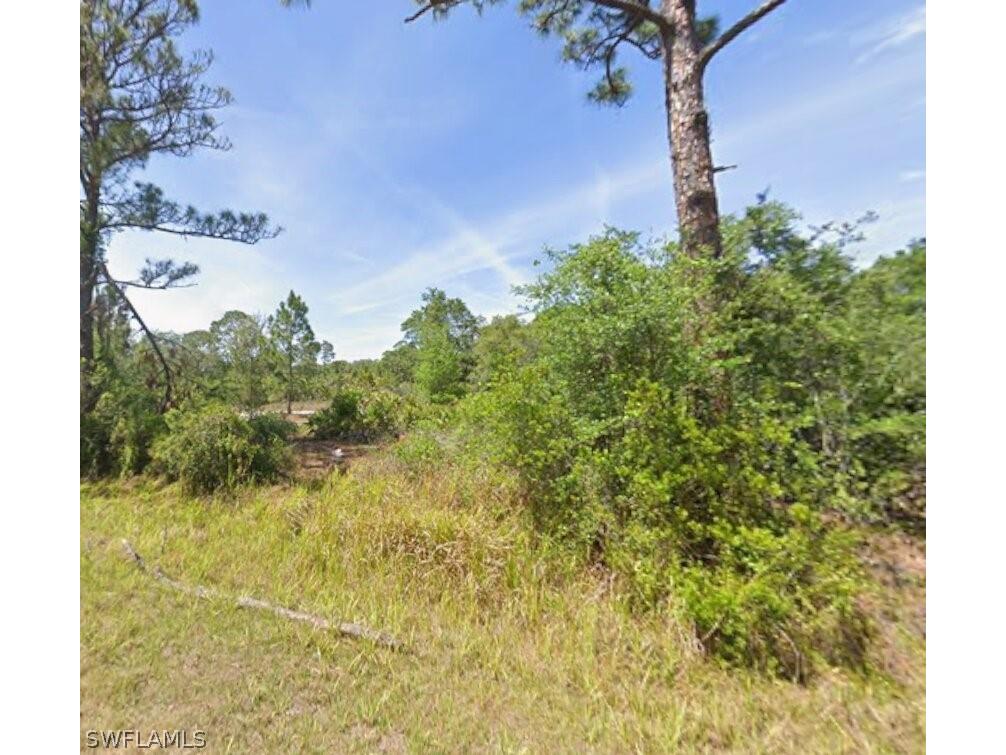 429 Nancy Road NW Lake Placid FL 33852 226011443 image2