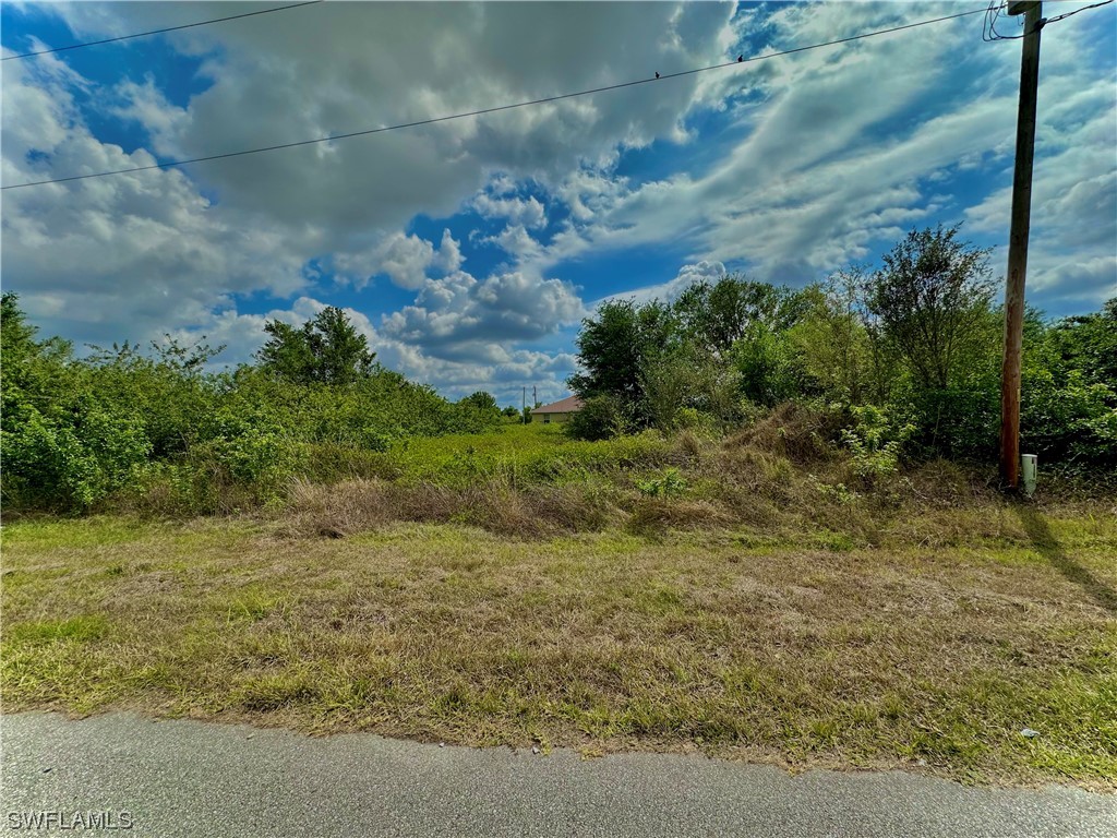 429 Pinehurst Avenue Lehigh Acres FL 33974 223023958 image1