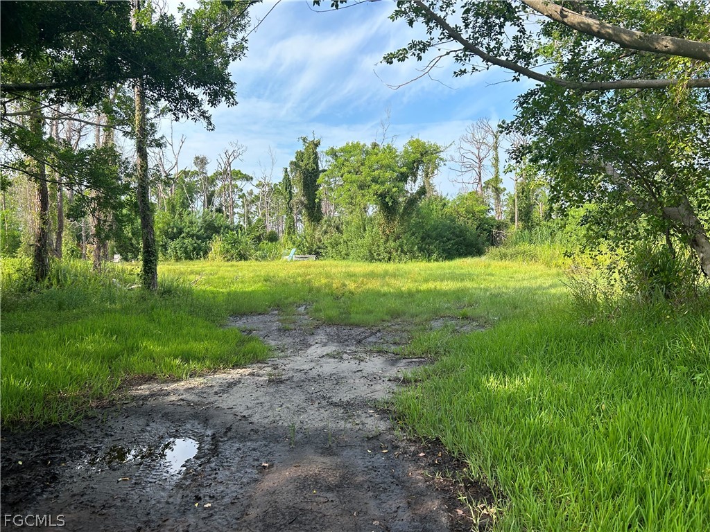 4291 Pinetree Boulevard Saint James City FL 33956 2026012754 image1