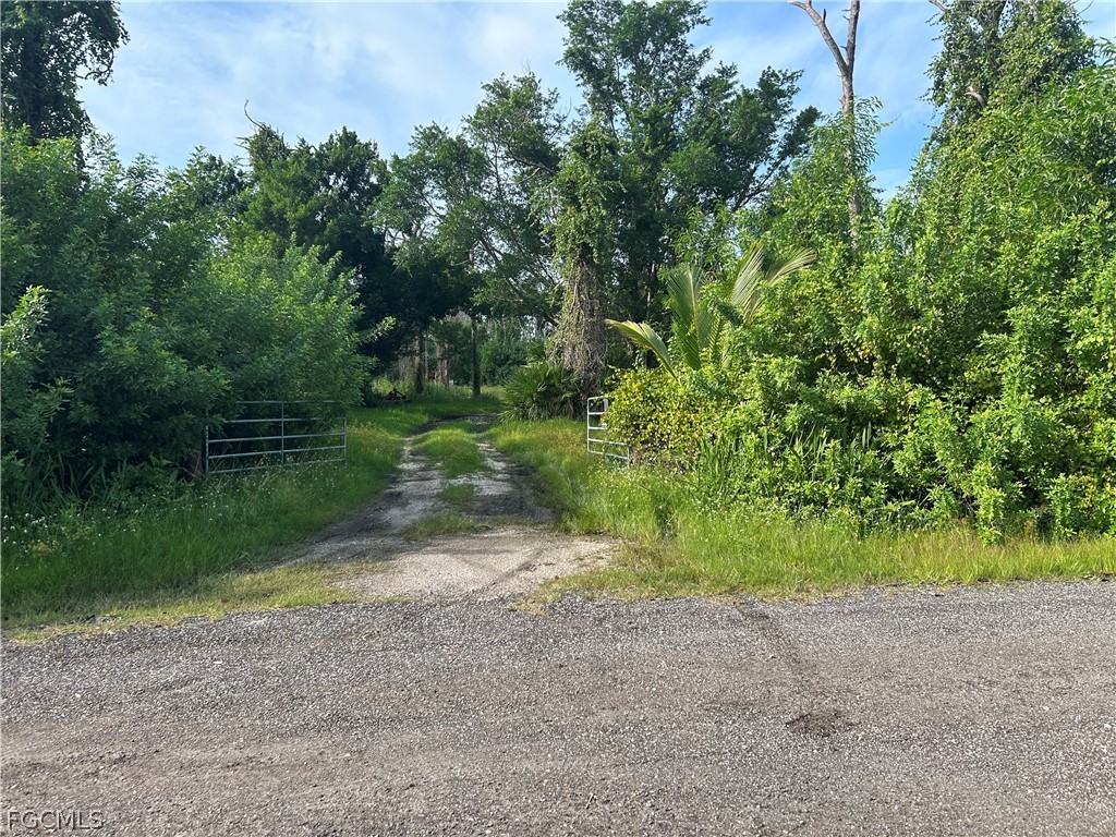 4291 Pinetree Boulevard Saint James City FL 33956 2026012754 image2