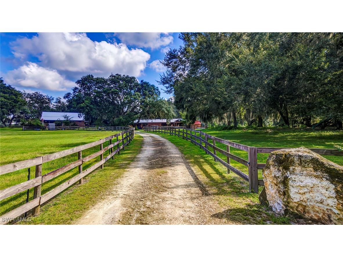 4292 SW 73rd Trail Bushnell FL 33513 225034743 image3