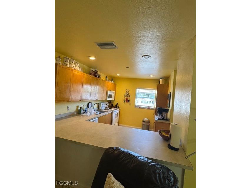 4293 Island Circle #4 Fort Myers FL 33919 2025020786 image2
