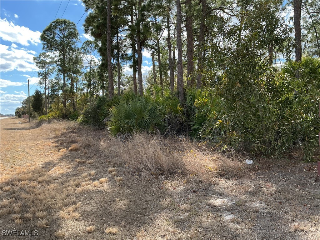430 & 450 N Cabbage Palm Street Clewiston FL 33440 226005014 image11