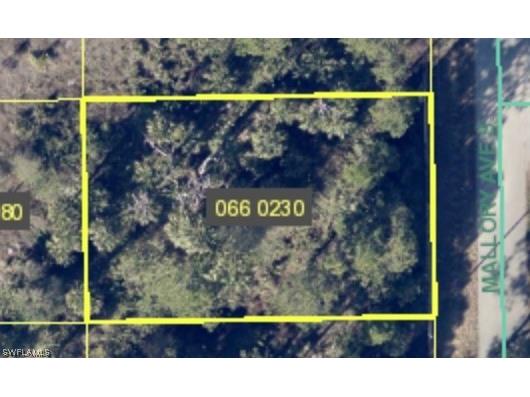 430 Mallory Avenue S Lehigh Acres FL 33974 223080149 image1