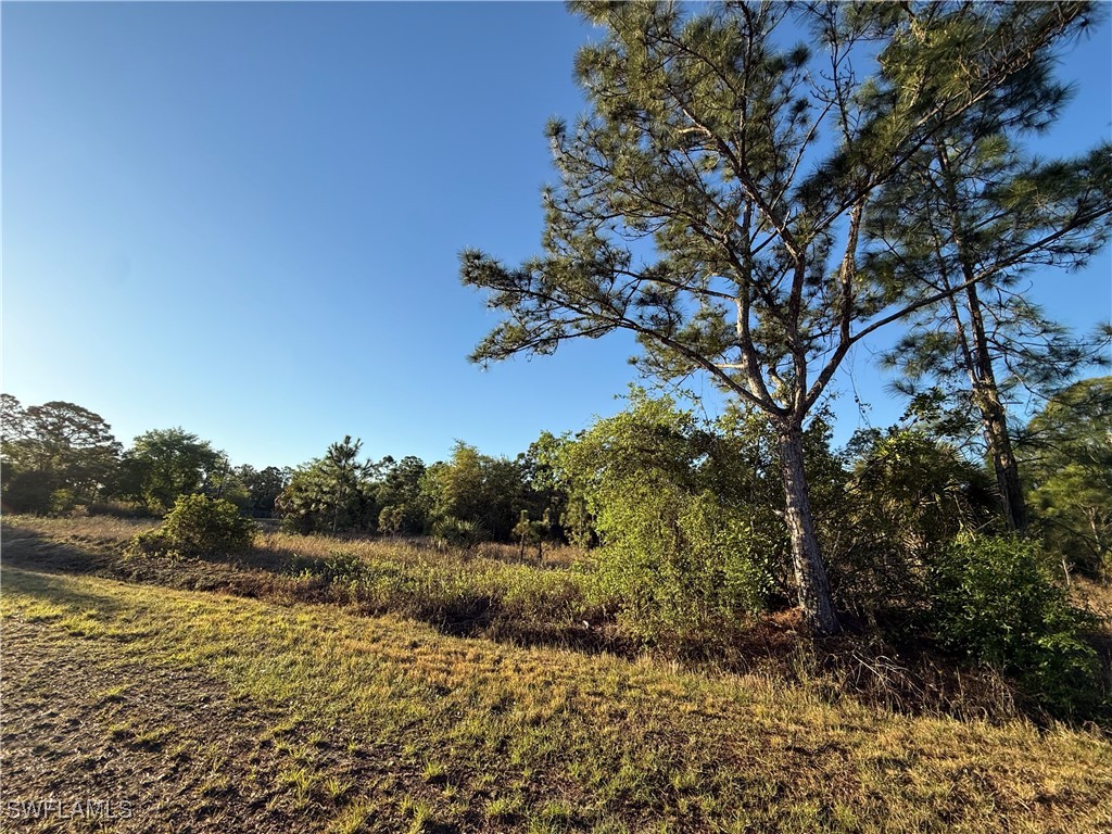 430 W Pinto Avenue Clewiston FL 33440 225037294 image1