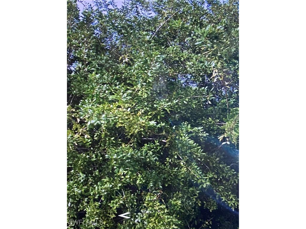 4300 15th Street W Lehigh Acres FL 33971 225076888 image2