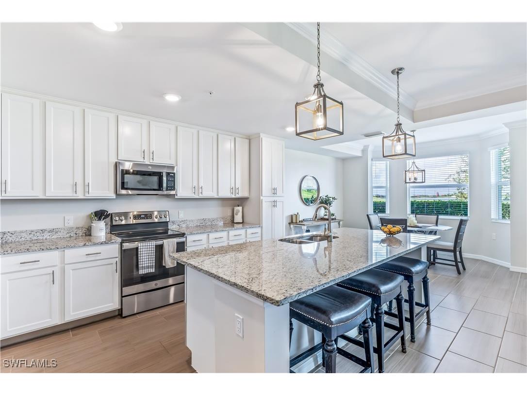 43010 Greenway Boulevard #216 Babcock Ranch FL 33982 225076071 image8