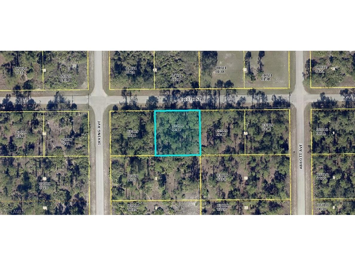 4302 E 13th Street Lehigh Acres FL 33972 223087140 image1