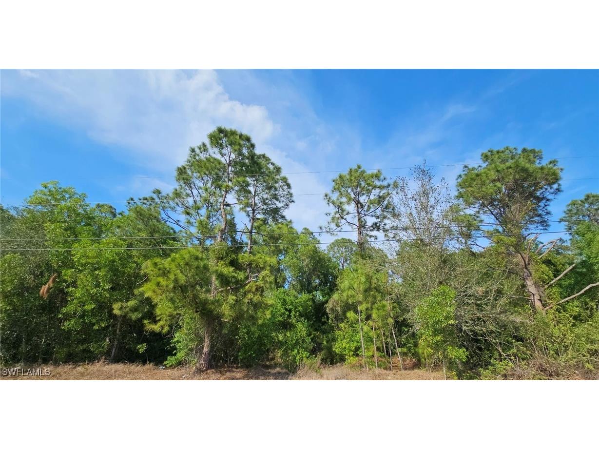 4306 2nd Street SW Lehigh Acres FL 33976 225025539 image1