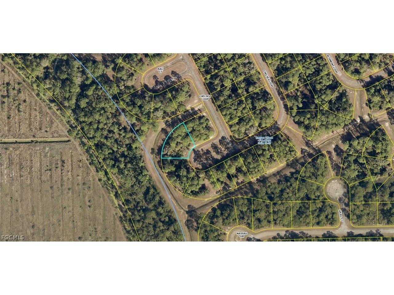 431 Chelsea Loop Labelle FL 33935 2026012453 image2