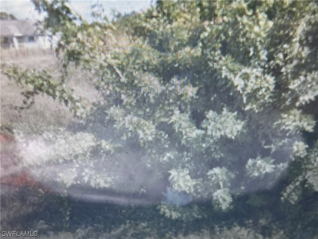 4310 15th Street SW Lehigh Acres FL 33976 224014625 image1