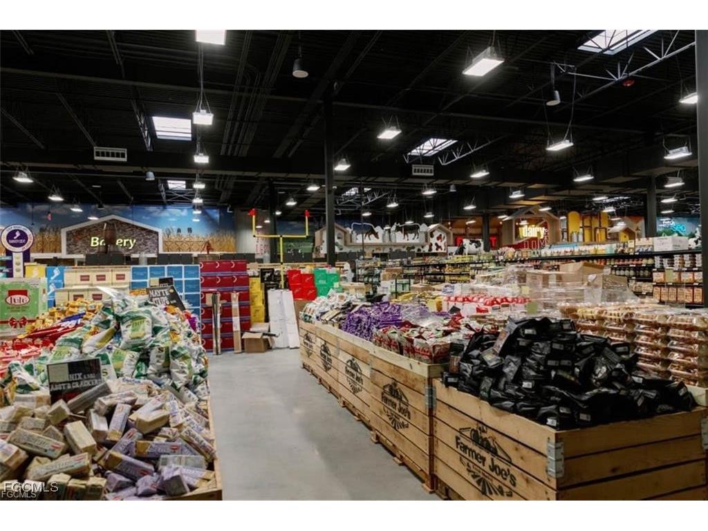 4310 NW 34th Terrace Cape Coral FL 33993 2025005723 image17