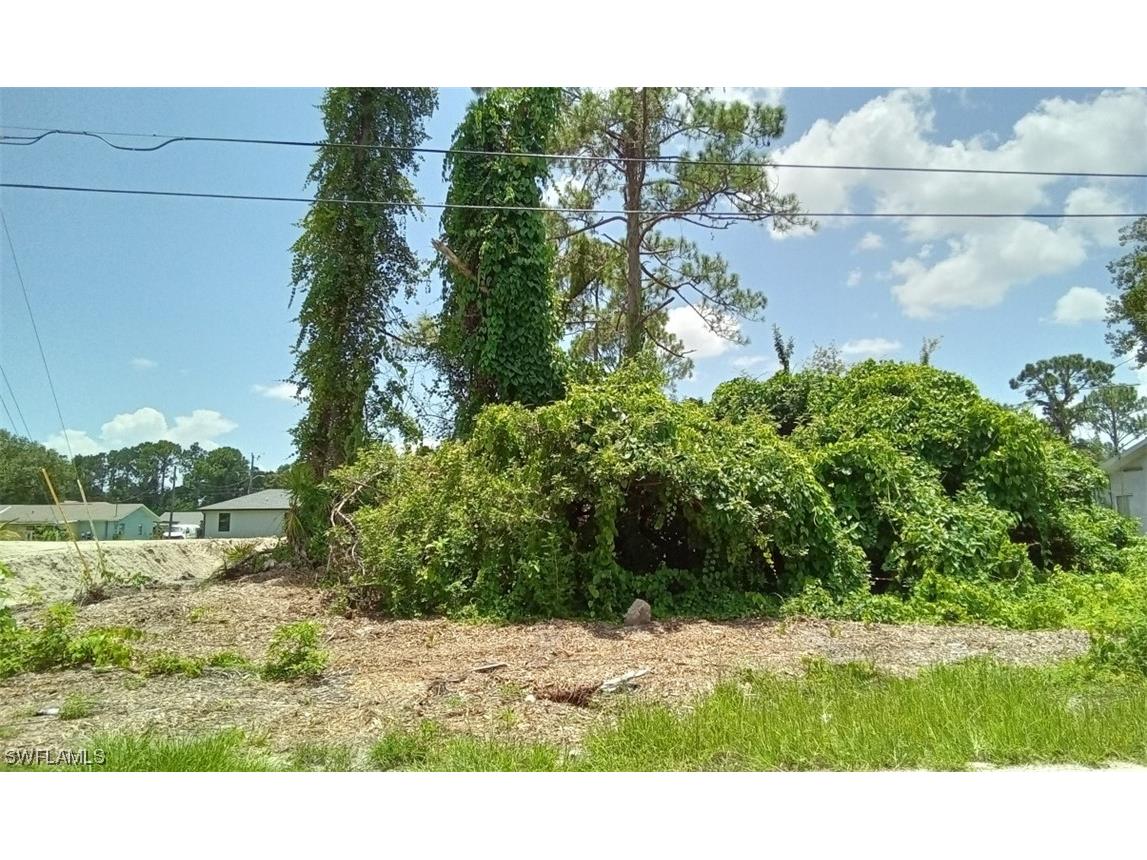 4313 Douglas Lane Lehigh Acres FL 33976 223069593 image1