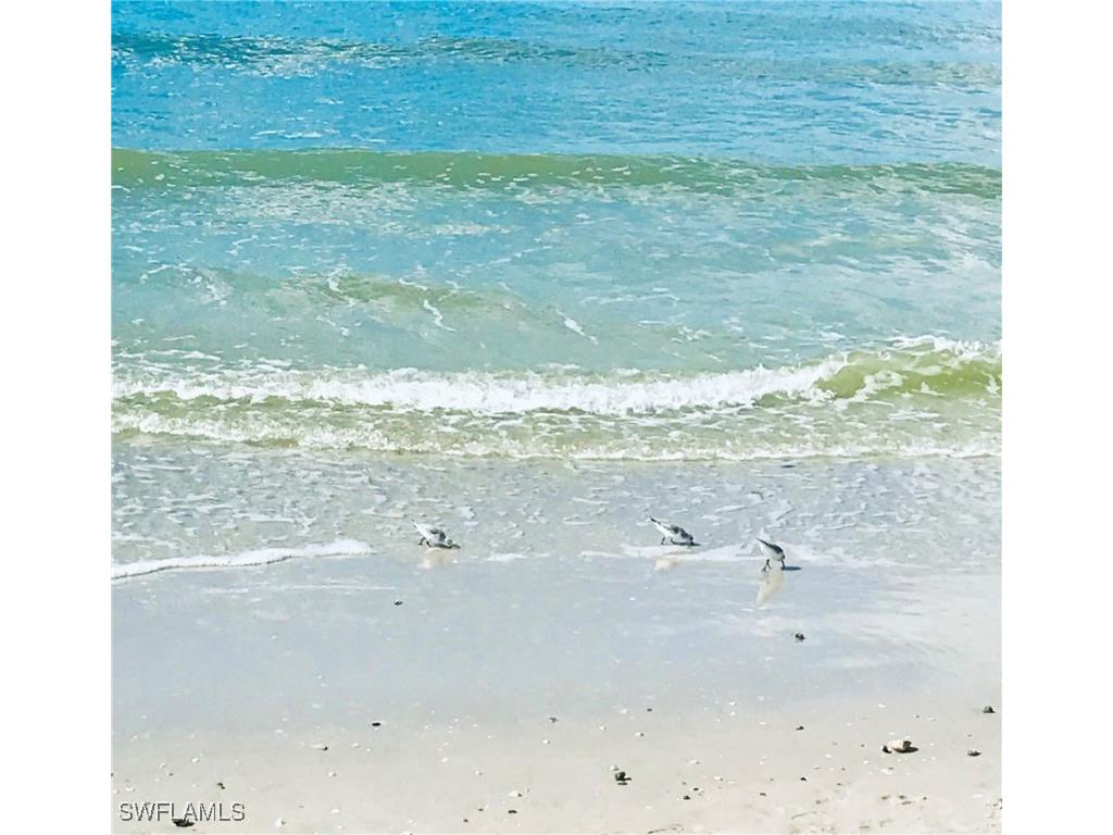 4330 Chantelle Drive #F105 Naples FL 34112 225083005 image38