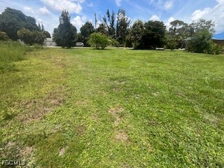 435 Monterey Street North Fort Myers FL 33903 225062813 image3