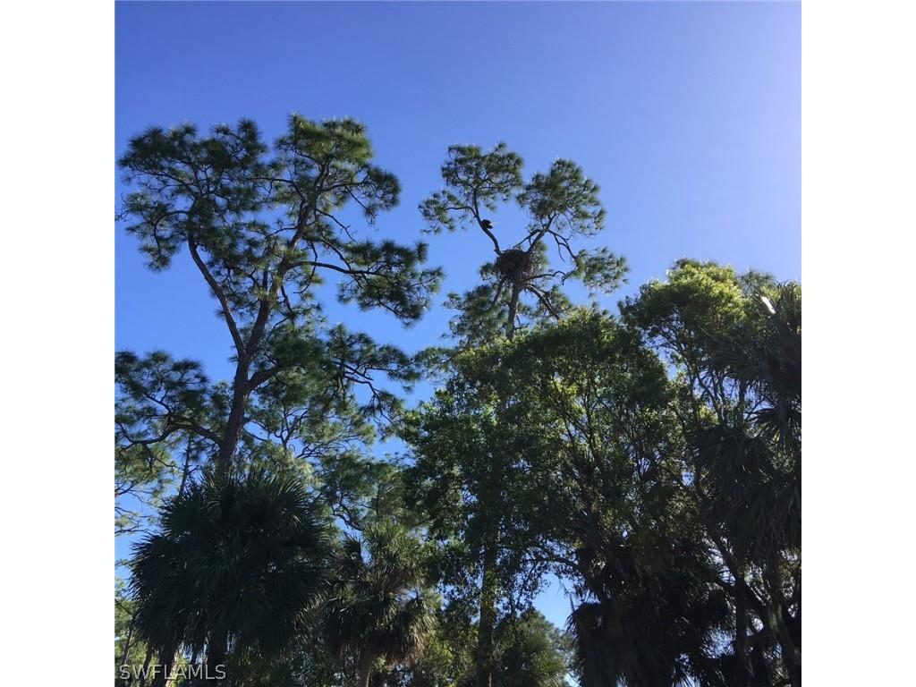 436 Crestwood Lane Naples FL 34113 224030490 image34