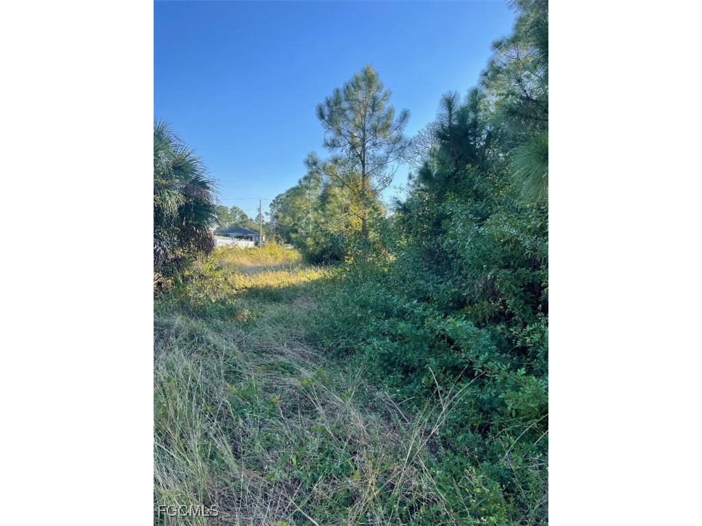 436 Rayneta Street Lehigh Acres FL 33974 2025020554 image7