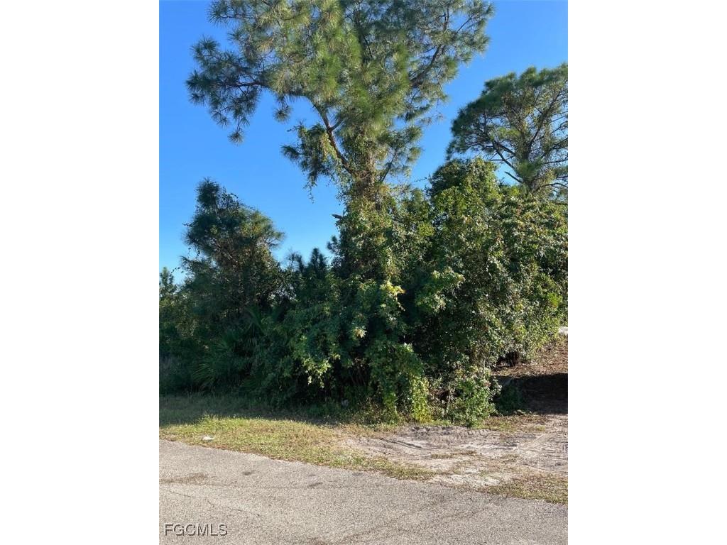 436 Rayneta Street Lehigh Acres FL 33974 2025020554 image8