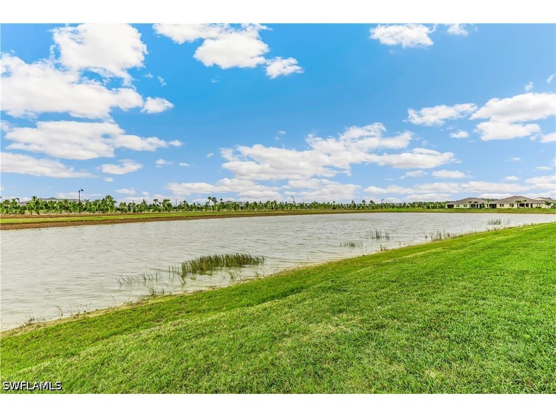43645 Sparrow Drive Babcock Ranch FL 33982 226018978 image19