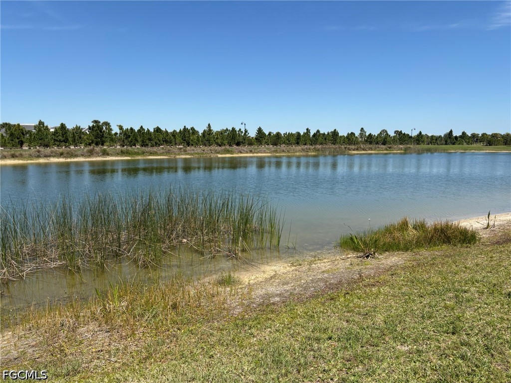 43661 Sparrow Drive Punta Gorda FL 33982 2026017510 image31