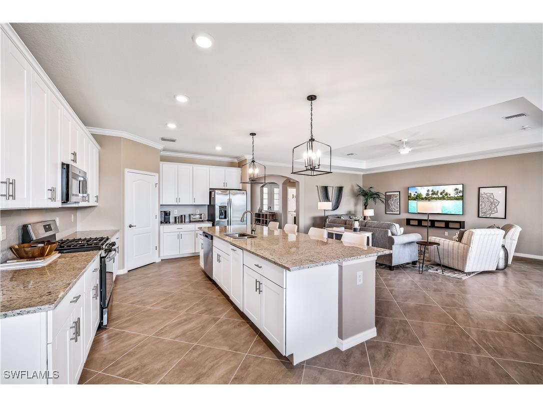 43693 Tree Top Trail Babcock Ranch FL 33982 225076062 image10