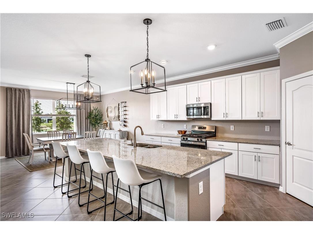 43693 Tree Top Trail Babcock Ranch FL 33982 225076062 image11