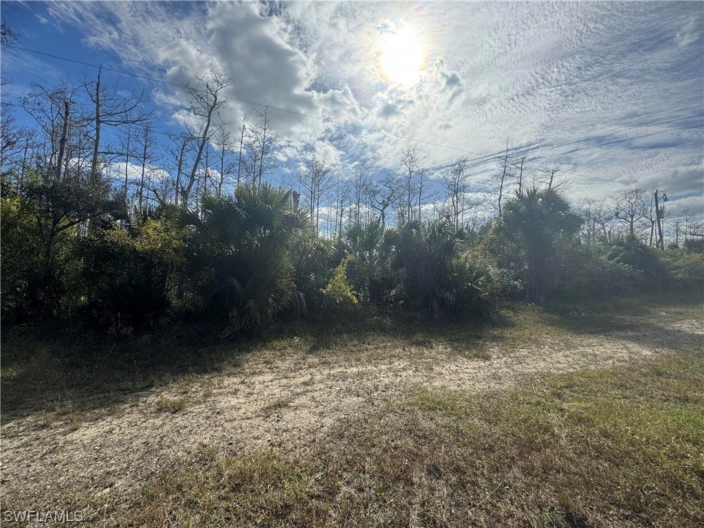 437 Greenbriar Boulevard Lehigh Acres FL 33972 224008620 image1