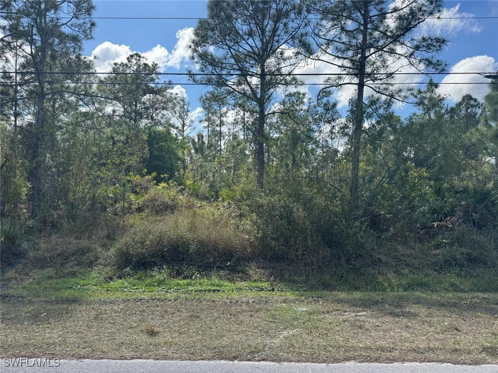 4370 64th Avenue NE Naples FL 34120 225078869 image1