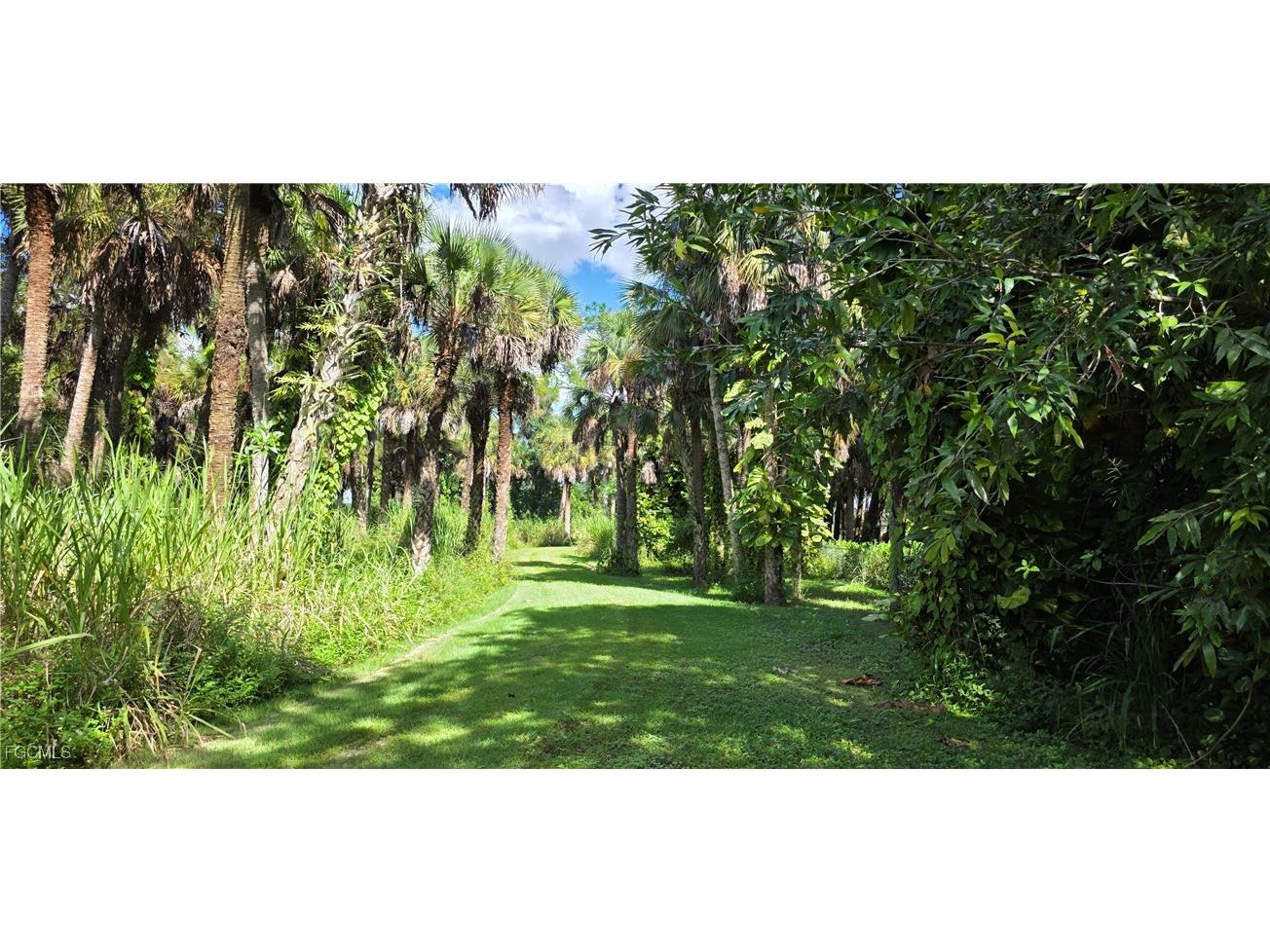 4383 Cr 78 Labelle FL 33935 2025014870 image17