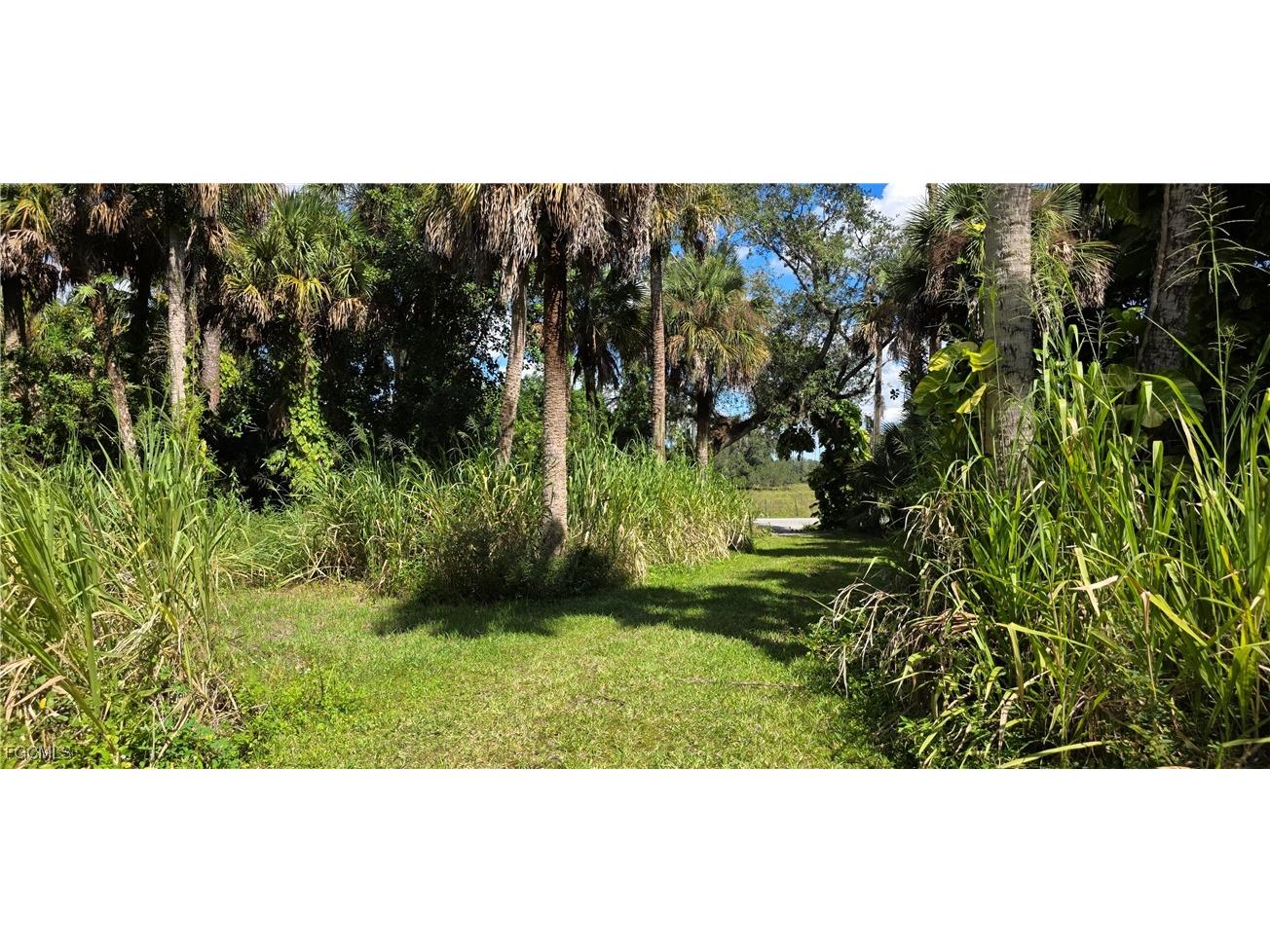 4383 Cr 78 Labelle FL 33935 2025014870 image18