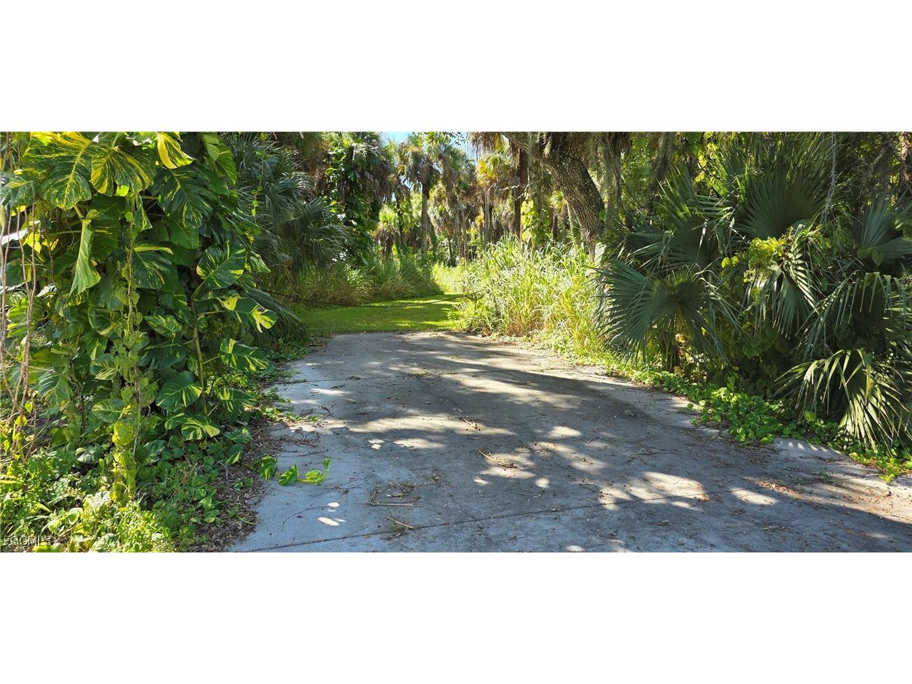 4383 Cr 78 Labelle FL 33935 2025014870 image2