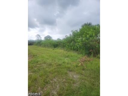 439 Naples Avenue S Lehigh Acres FL 33974 2026026236 image1