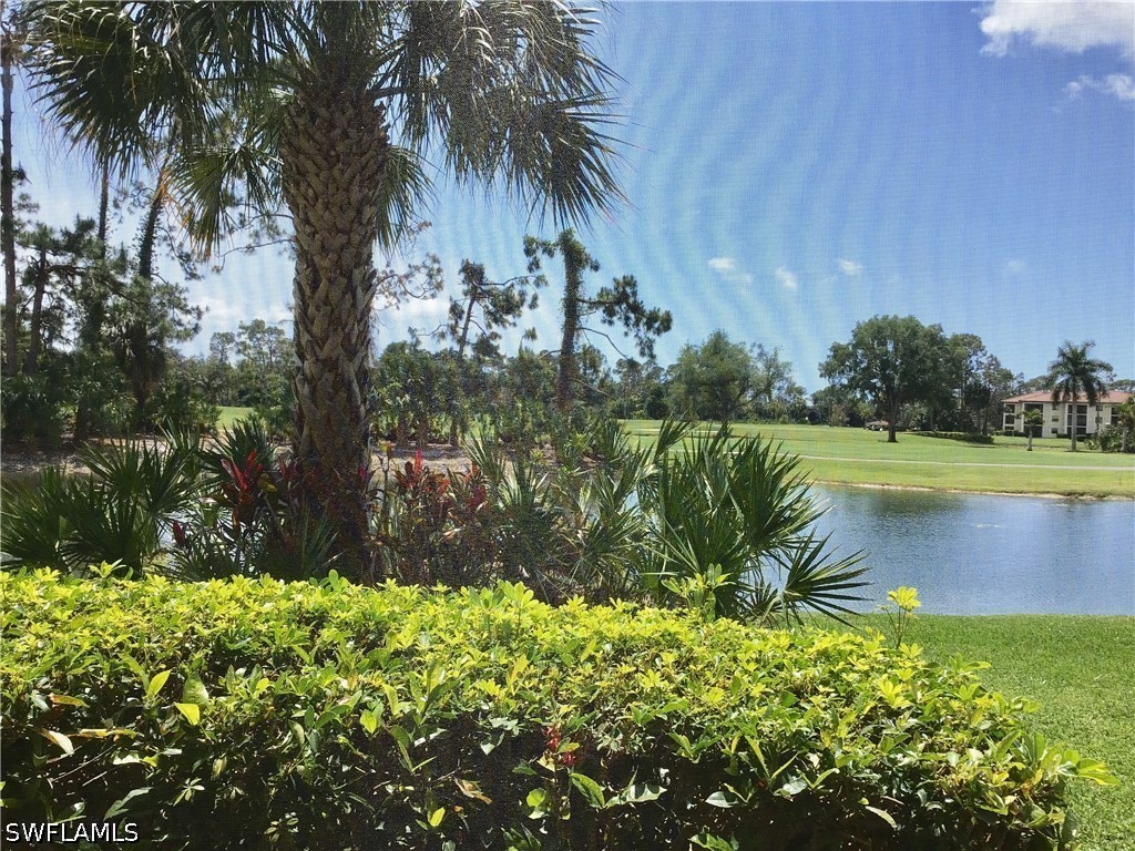 440 Fox Haven Drive #2106 Naples FL 34104 226013987 image29