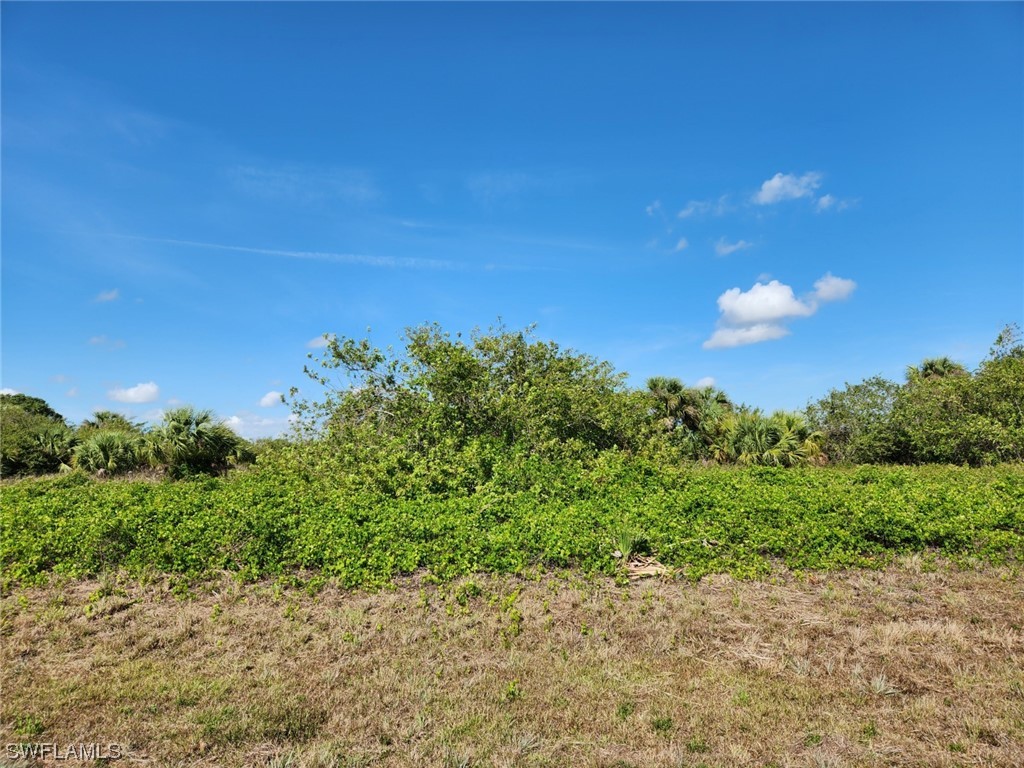 440 Jonquil Drive Labelle FL 33935 223028503 image1