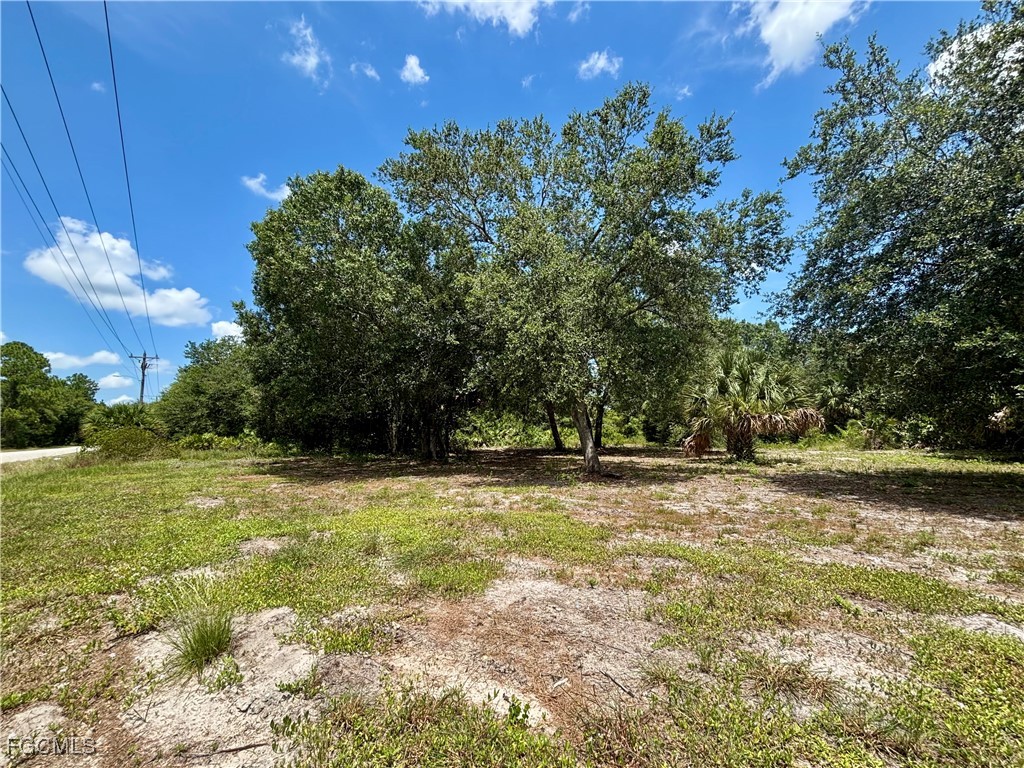 4403 E 2nd Street Lehigh Acres FL 33936 2025004425 image9